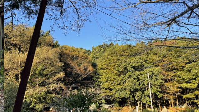 【都心から90分で豊かな自然】予約不要のフリーサイト！滝沢園キャンプ場（神奈川県）