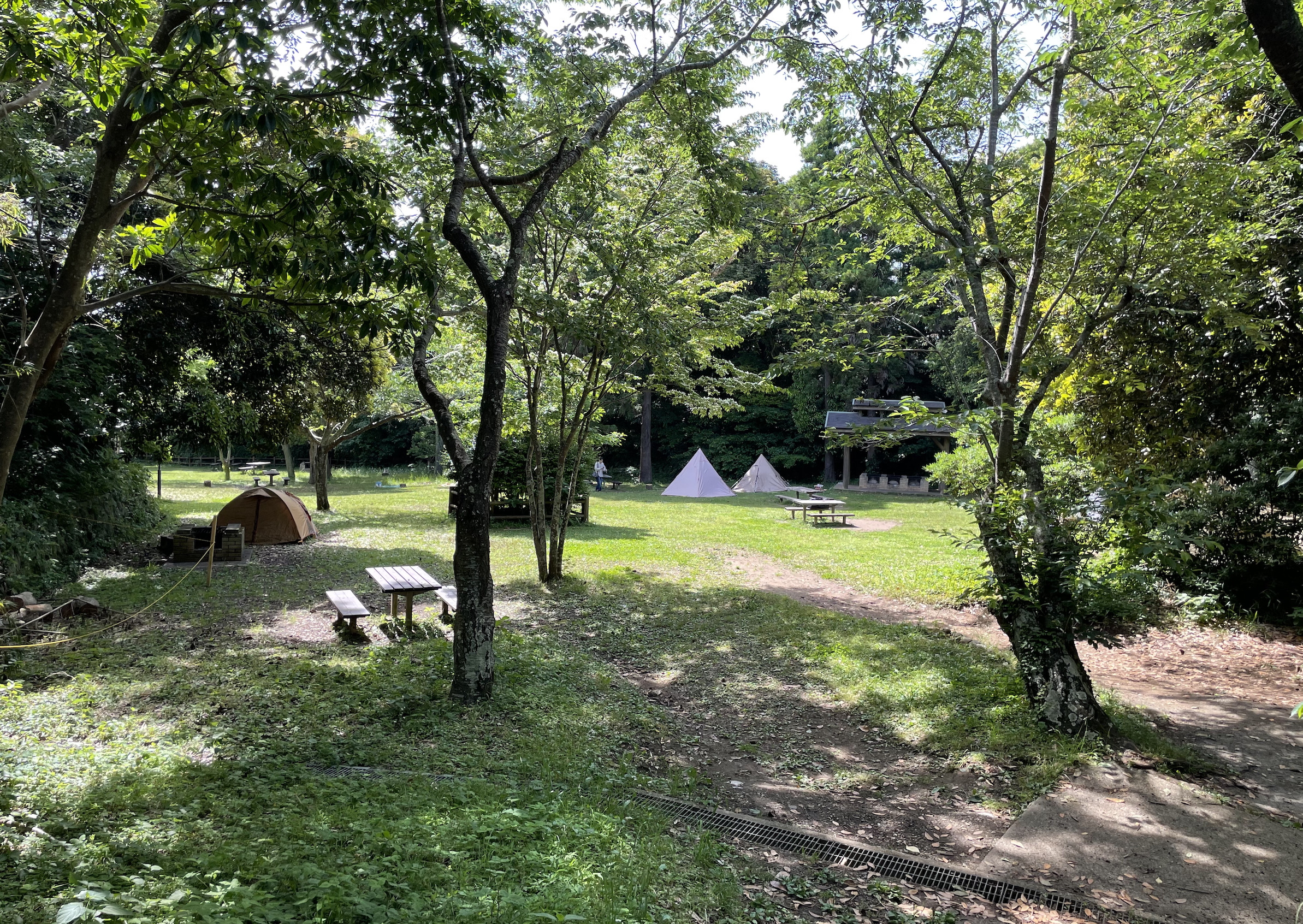 夏キャンプにおすすめのキャンプ場② 林間サイトのキャンプ場