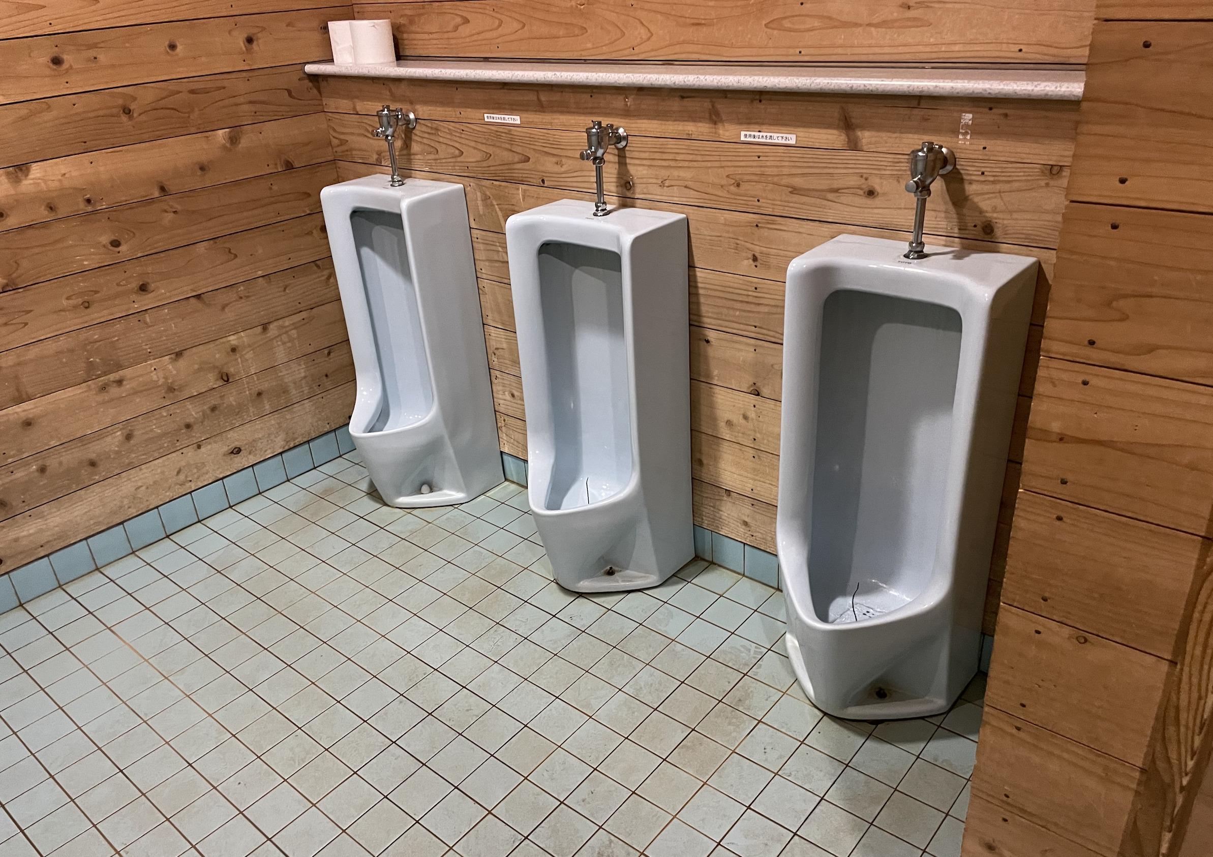 普通の水洗トイレ