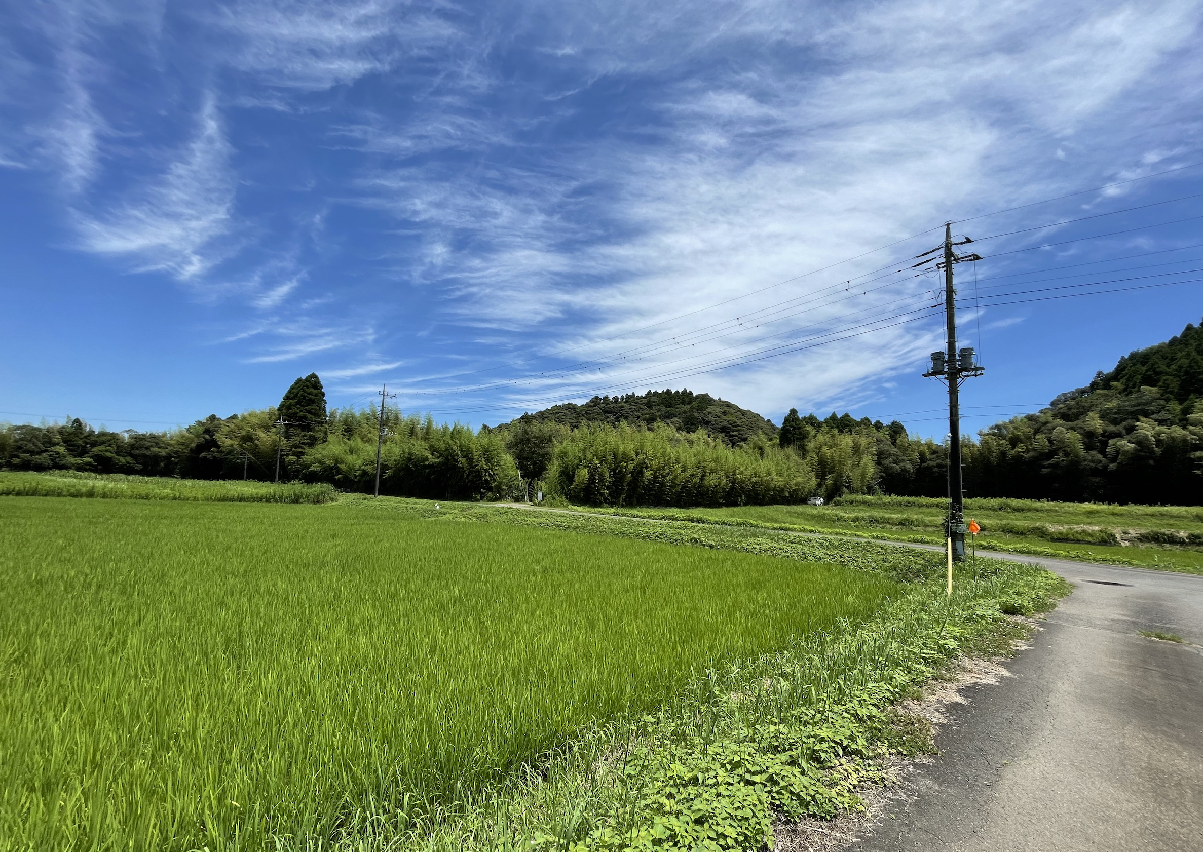 グリーンファームおおたき戸田オートキャンプ場の周辺は、田んぼが広がるのどかな環境
