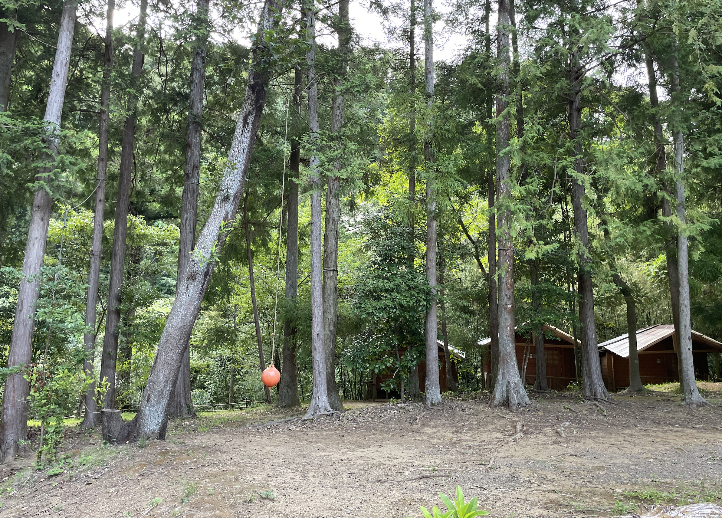 オートキャンプフルーツ村Bサイト〜C5サイト（林間サイト）にはサイト内にボールを吊るされた遊具がある場所も