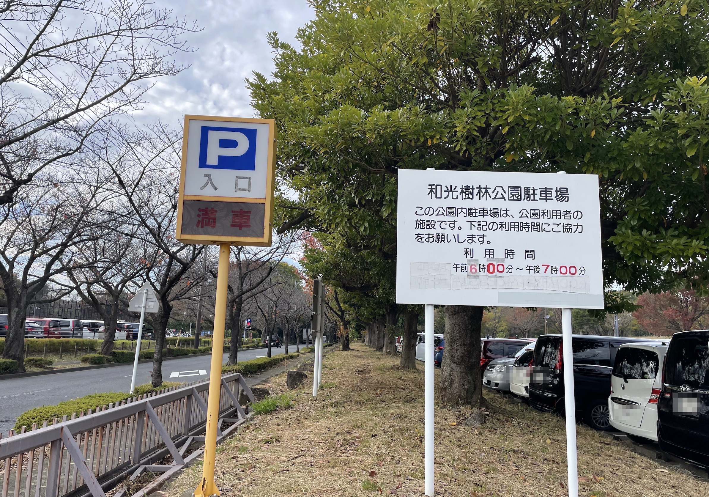 和光樹林公園の駐車場