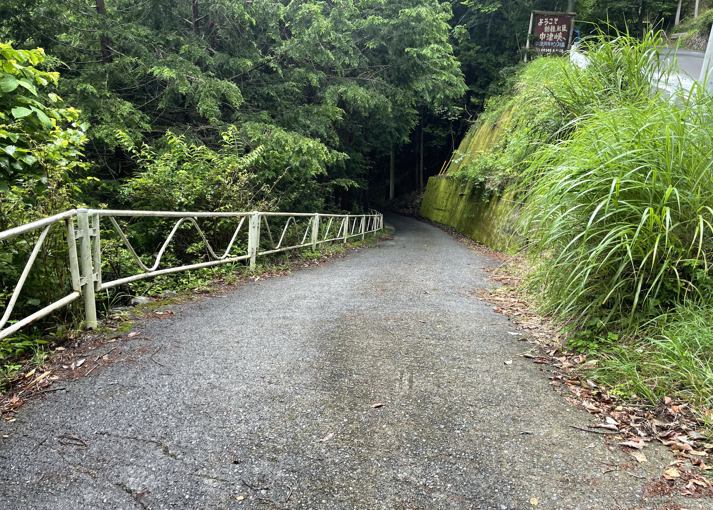 左に曲がった後の下り坂が急なので、車高の低い車は注意が必要です