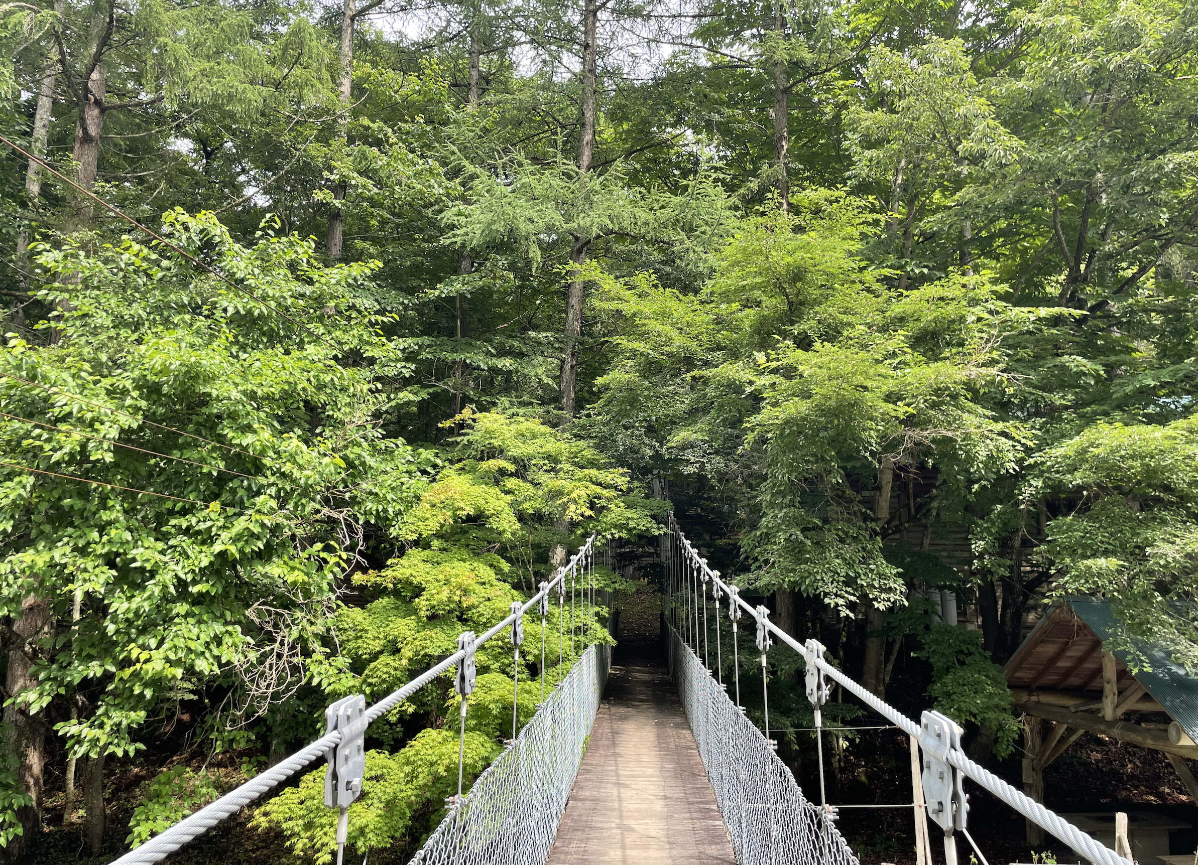 中津川村キャンプ場の吊り橋