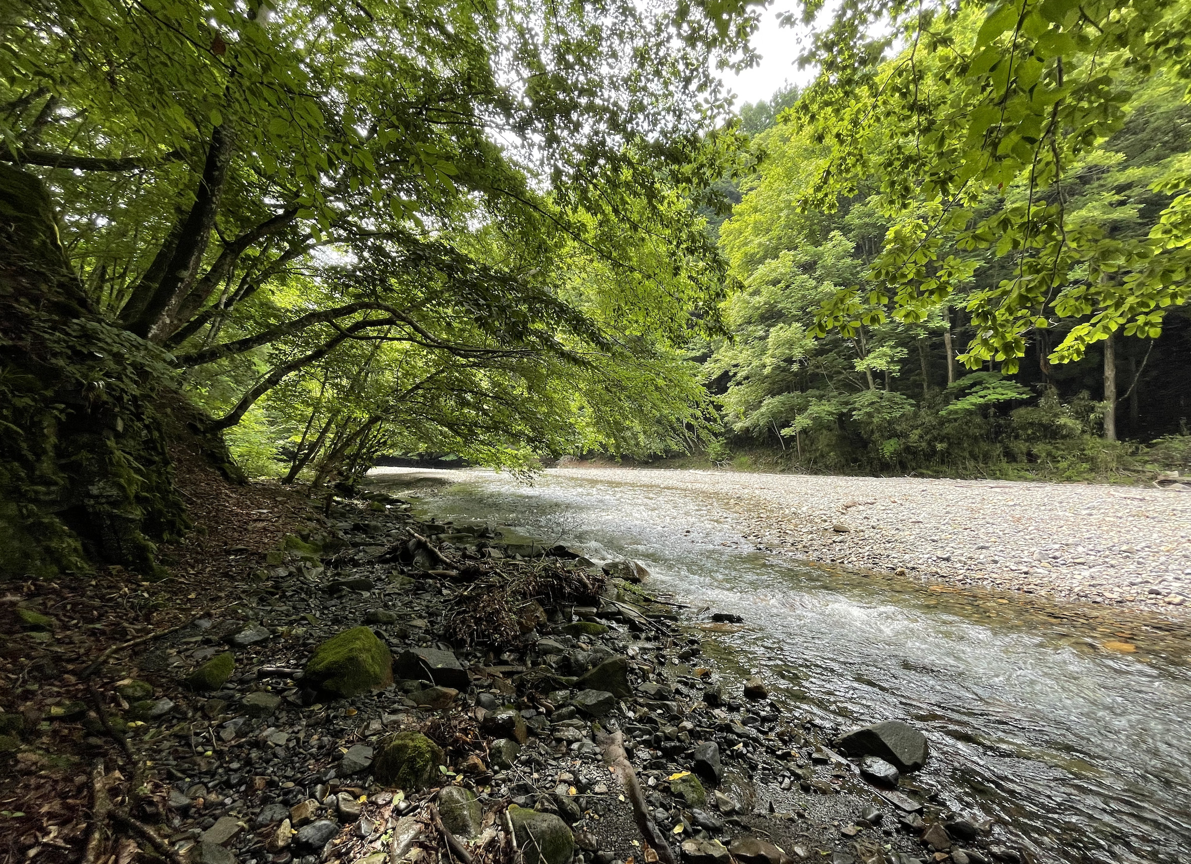 中津川村キャンプ場の横を流れる渓流